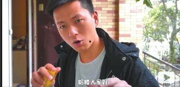 网红视频bb,揭秘网络红人的魅力与影响力